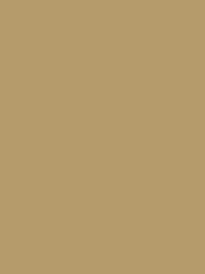 bg-img2.png